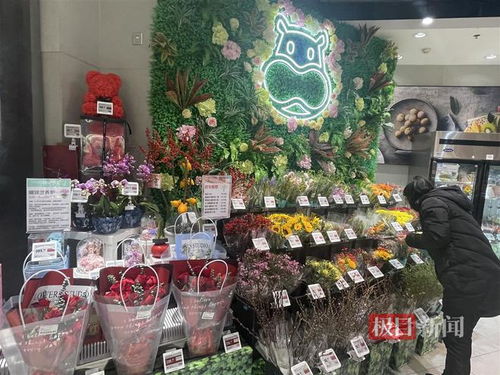 鮮花消費(fèi)日?；厔菝黠@，武漢時令春花綻放新商機(jī)